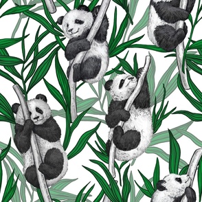 Panda cubs pattern, big size