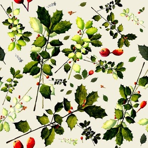 Holly Clippings on Cream Background