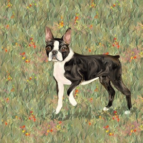 Boston Terrier on Wildflower Field for Pillow