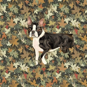 Boston Terrier in Autumn Leaves for Pillow