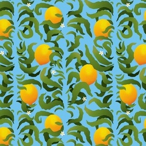 Meyer Lemons - Blue
