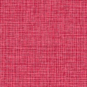 Solid Pink Plain Pink Natural Texture Small Stripes and Checks Grunge Viva Magenta Pink CelebrateVivaMagentaCOY2023 BE3455 Dynamic Modern Abstract Geometric