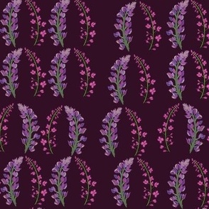 Lupine fireweed purple