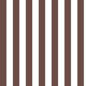 Vertical Awning Stripe Pattern - Nutmeg and White