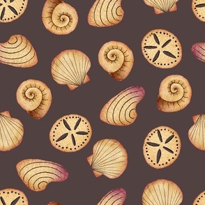 Sea Shells Brown