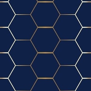 Gold hexagon on navy gold hex
