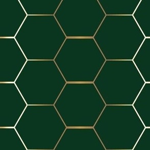 Gold hex on dark green hexagon
