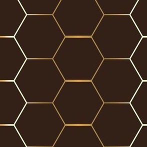 Gold hexagon on brown hex
