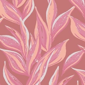 Cordylines - Blush pink