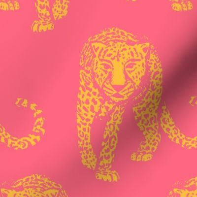 Tigers - Pink and Orange