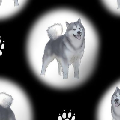 Alaskan Malamute snow globes