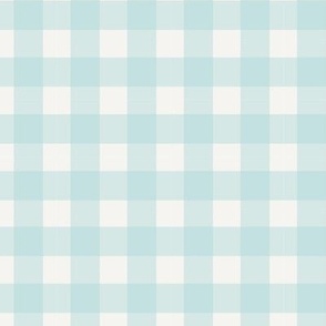 Pastel blue 5/8” gingham