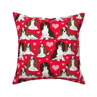 Cavalier King Charles Spaniel on red 8x8