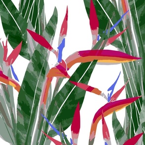 JUMBO painterly bird of paradise - Vibrant White