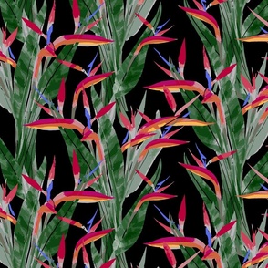 Medium painterly bird of paradise - Vibrant Black