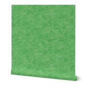 crayon background - spearmint green