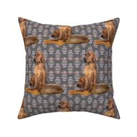 Redbone Coonhound dog fabric