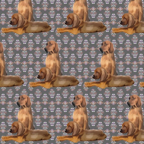 Redbone Coonhound dog fabric