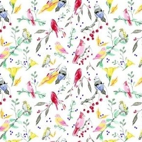 Rainbow Birds in Spring {medium}