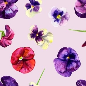 Pansies