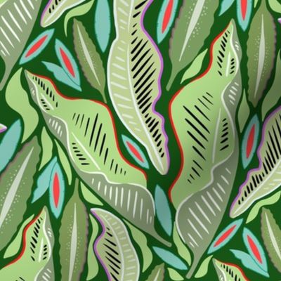 Tropical leaves