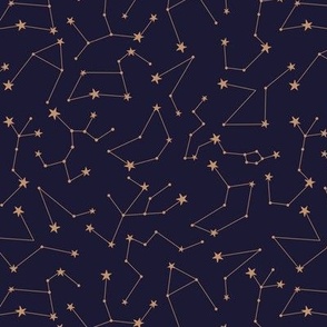 Little astronomer - The boho zodiac signs constellation written in the stars dreamers golden navy blue night