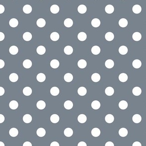 Polka Dot Pattern - Faded Denim and White
