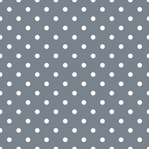 Small Polka Dot Pattern - Faded Denim and White