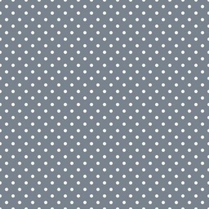 Tiny Polka Dot Pattern - Faded Denim and White