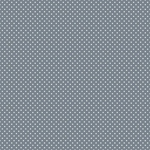 Micro Polka Dot Pattern - Faded Denim and White