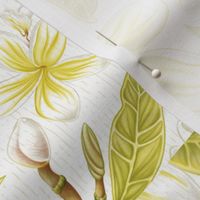 Plumeria Tea Towels