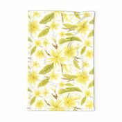 Plumeria Tea Towels