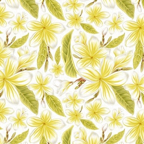 Plumeria Tea Towels