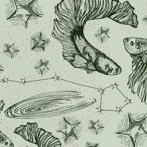 Pisces constellation