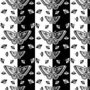 Black and white moths  