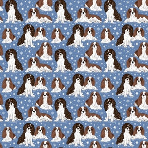 Cavalier King Charles Spaniel with snowflakes 6x6