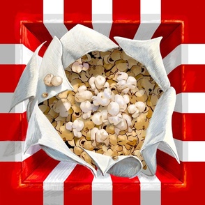 18” Square Trompe-L’Oeil Movie Popcorn Panel