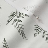 New Zealand fern neutral, Greenery watercolour green ferns