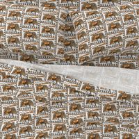 tracking bloodhound fabric