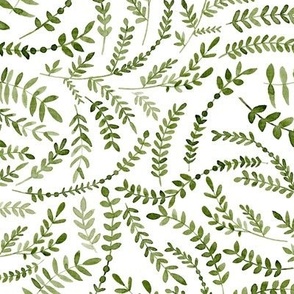 Botanical Leaves / Olive