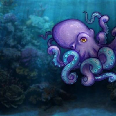 Octobuddy Under the Sea