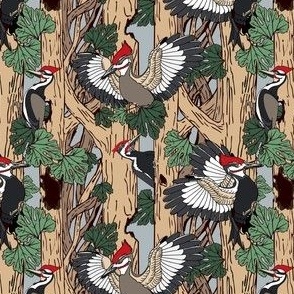  THE IVORY-BILLED WOODPECKER