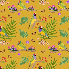 Gouldian Finch, Family #2 - antique gold, medium 