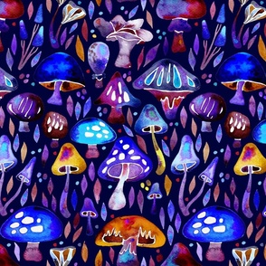 Mushroom Magic – Galaxy
