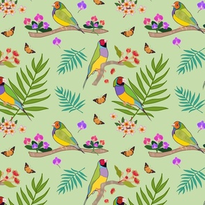 Gouldian Finch, Family #2 - jade green, medium 