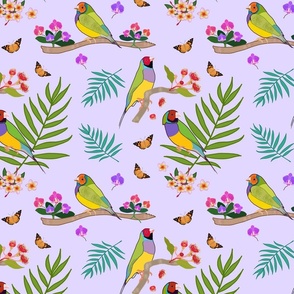 Gouldian Finch, Family #2 - soft lilac, medium 