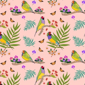 Gouldian Finch, Family #2 - ballet pink, medium 