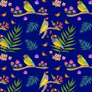 Gouldian Finch, Family #2 - royal blue, medium 