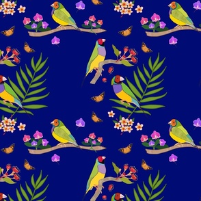 Gouldian Finch, Family #1 - royal blue, medium 