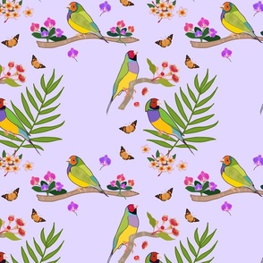 Gouldian Finch, Family #1 - soft lilac, medium 